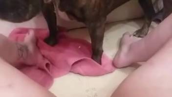Bald animal-lover's snatch is the most delicious delight ever