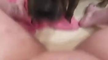 Shaved zoophile pussy is the tastiest treat ever