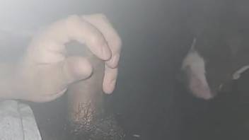 Steamy beasts indulge in filthy acts under the cover of darkness in a sizzling clip