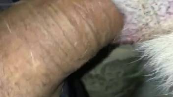 Guy passionately screwing that beast's rear end