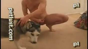 Aroused man shoves his cock into the canine's vagina while showing off for the camera