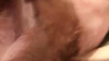 Beastly intercourse in the basin following intense masturbation