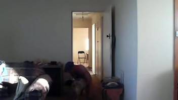 Guy grabs his canine to screw the animal from the rear