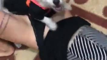 Struggling with her craving for canine cocks and zoophilia