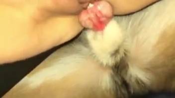 Slender older lady experiences genuine canine penis in her juicy vagina