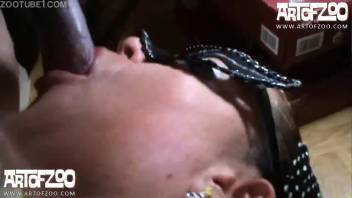 Gorgeous booty lady screwed involving animal intercourse in homemade webcam beastiality