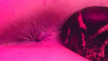 Serpent slithers into a genuine female vagina