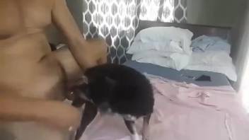 Guy recorded screwing his small female dog in the butt and vagina