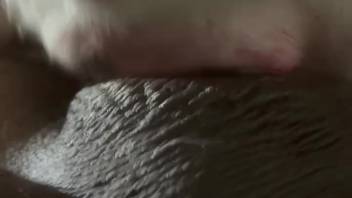 Steamy slit skewered by a thick cock in this video