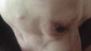 Naughty vixen getting wild in this POV flick