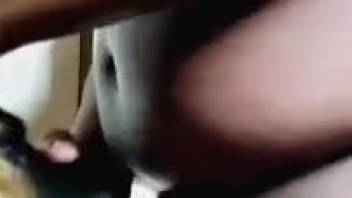 Muscular black stud bangs furry bitch in her cunt after a blowjob