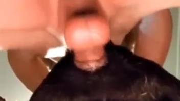 Guy intensely penetrates fluffy canine anally for savage thrills