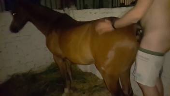 Guy pounds narrow mare's cunt and butthole in super close-up webcam intense action