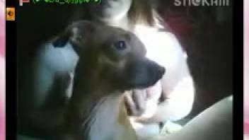 Well-trained pooch expertly laps at a snatch