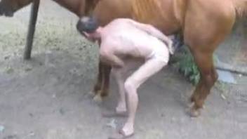 Elderly guy screwing a well-hung brown stallion in the open air
