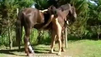 Babe reclines beneath the stud and thrusts his cock into her juicy pussy