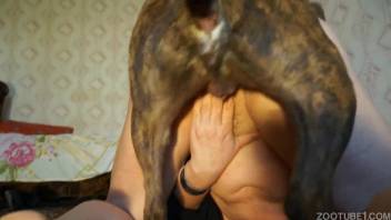 Ideal homemade bestiality video with a dog-loving dark-haired woman