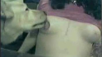 Intimate canine adult fantasy for a promiscuous female