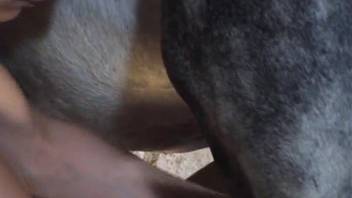 Premier blonde handles enormous horse cock in her vagina and mouth